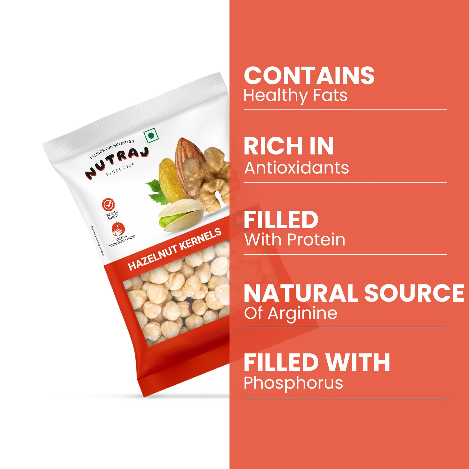 Nutraj Hazelnut Plain 100gm - Image 4