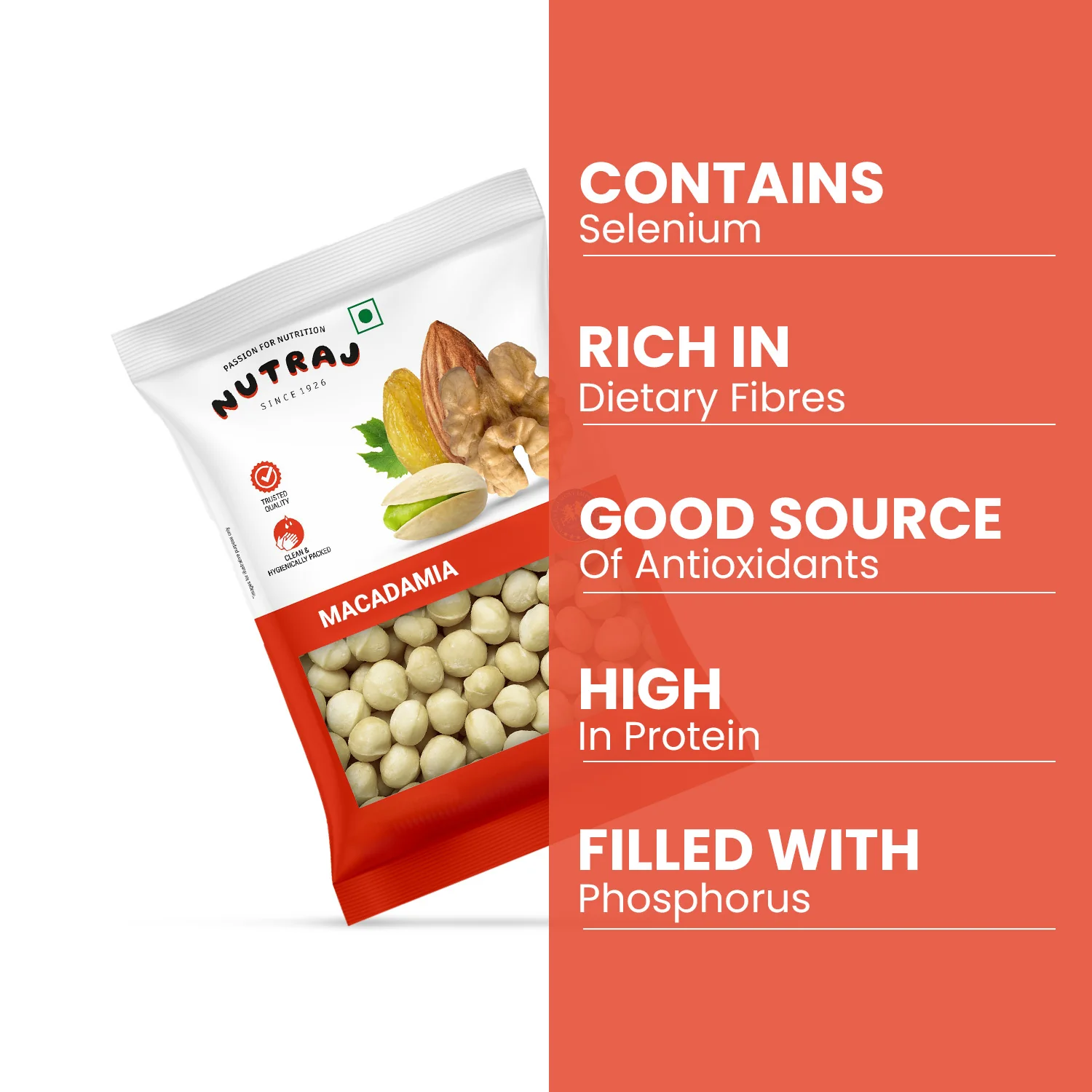 Nutraj Macadamia Nuts 100gm - Image 4
