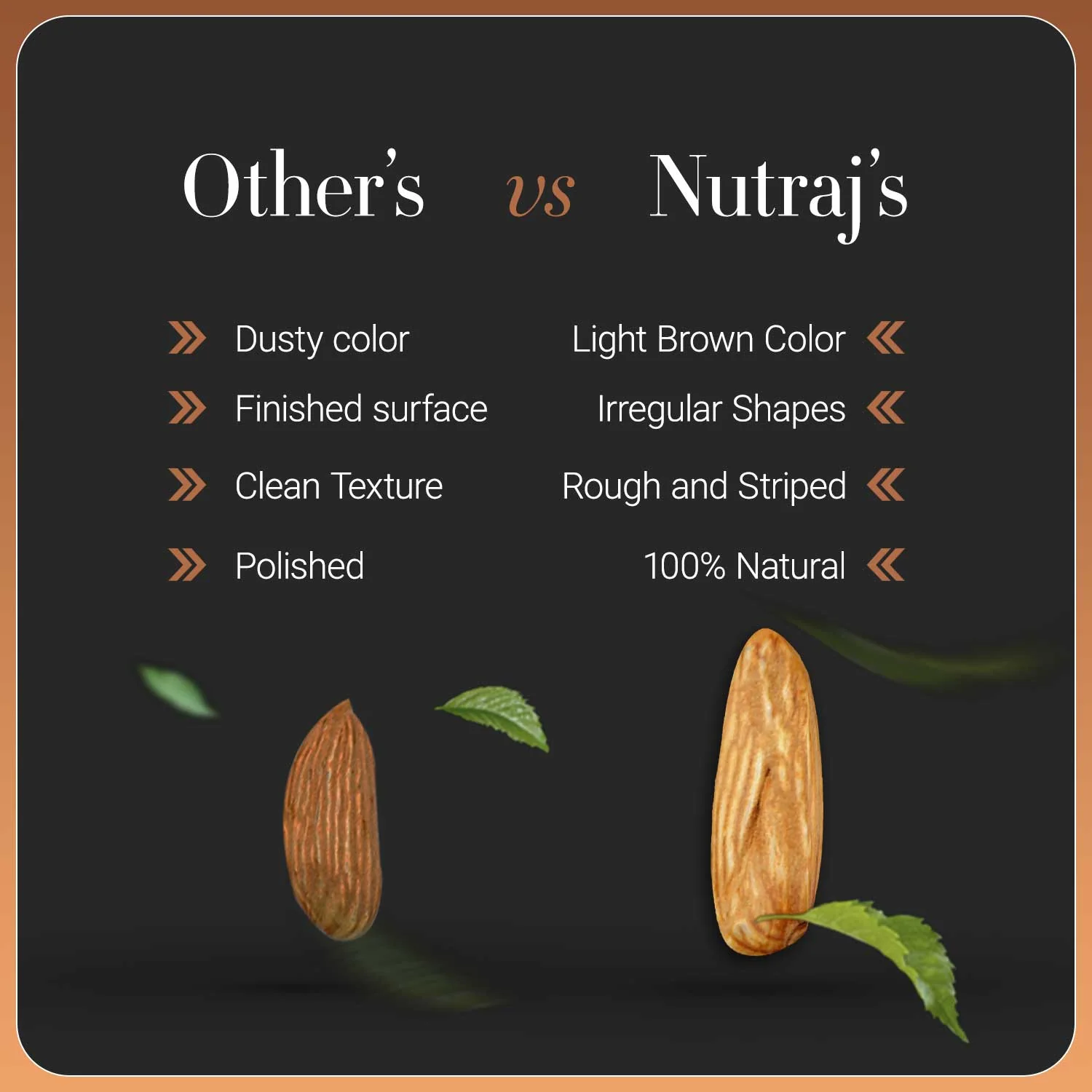 Nutraj Anmol Jumbo Size Mamra Almonds 500gm - Image 6