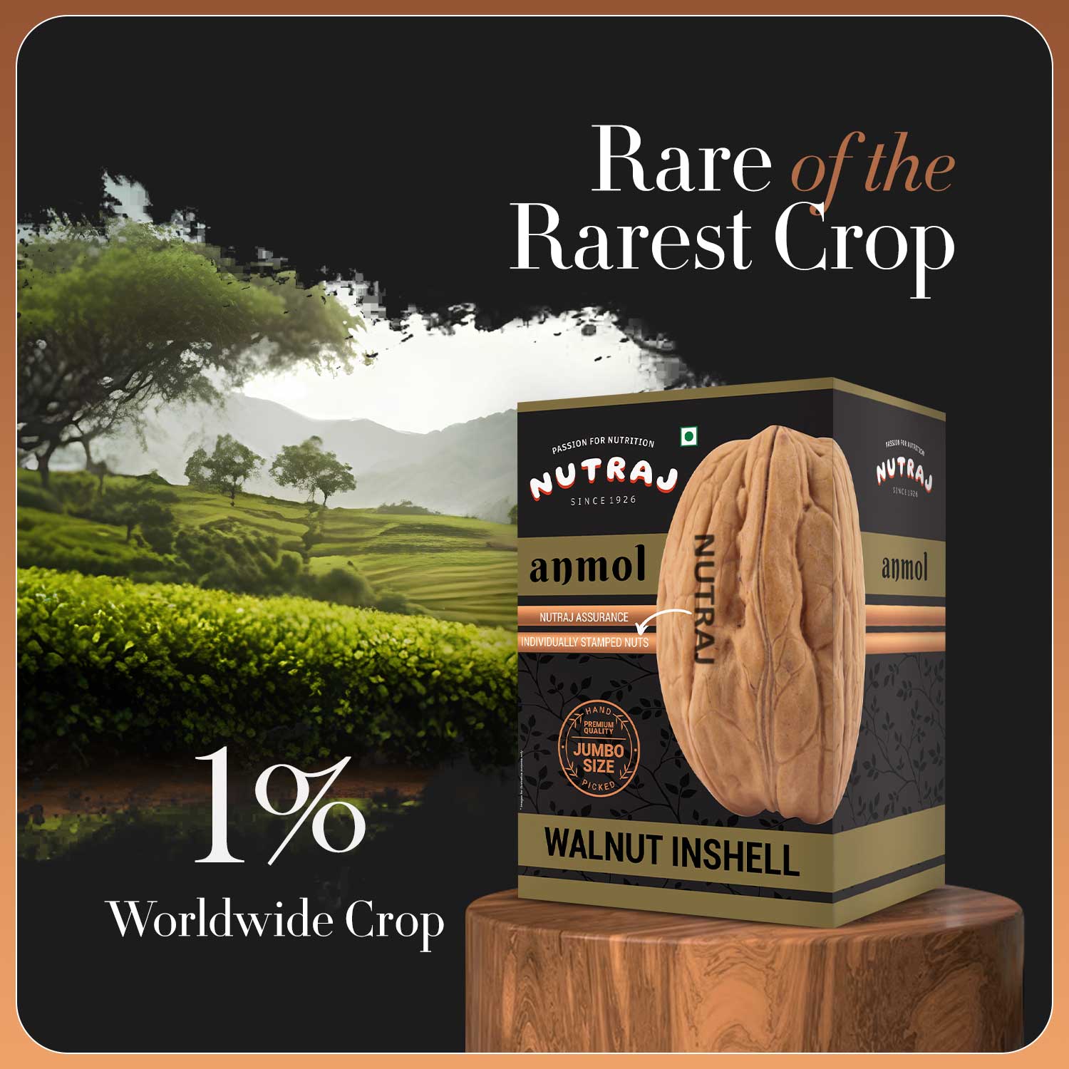 Nutraj Anmol Walnut Inshell 1kg with Nut Cracker - Image 3
