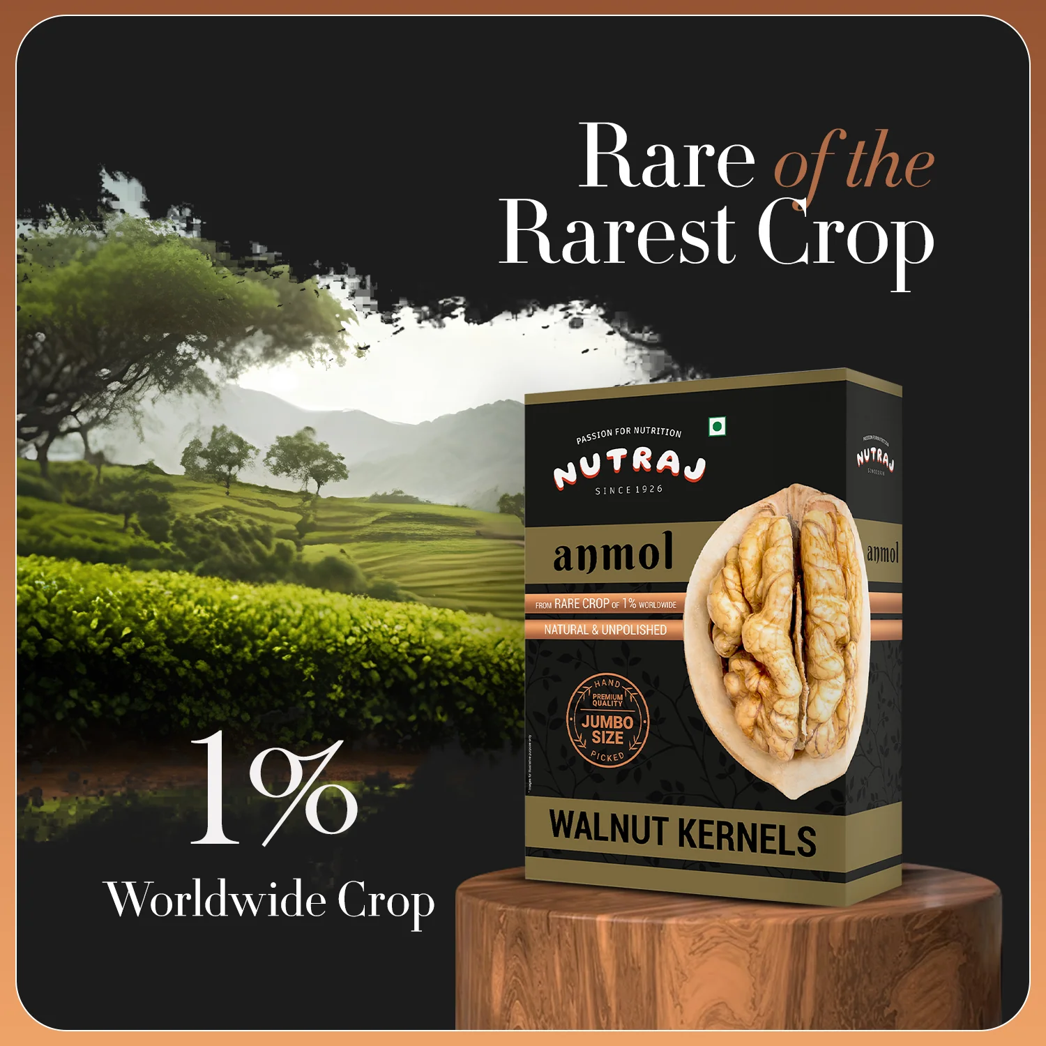 Nutraj Anmol Premium Walnut Kernel (Jumbo Size - Rare Crop - Natural) 500gm - Image 4