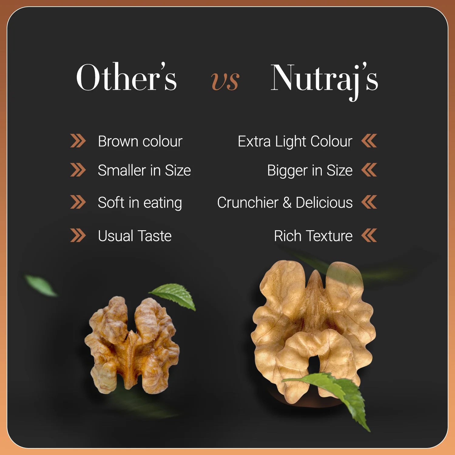 Nutraj Anmol Premium Walnut Kernel (Jumbo Size - Rare Crop - Natural) 500gm - Image 5