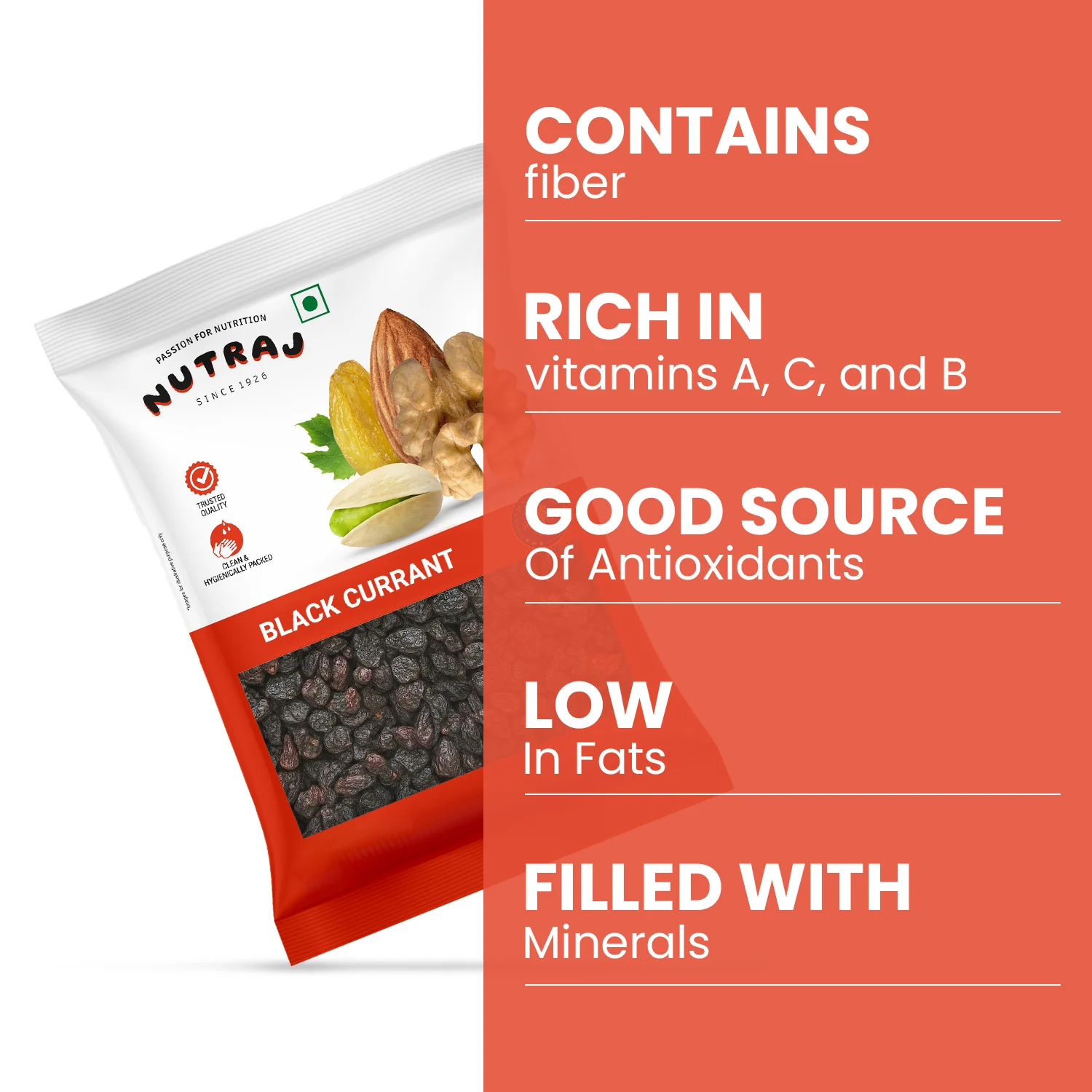 Nutraj Dried Black Currant 100gm - Image 4