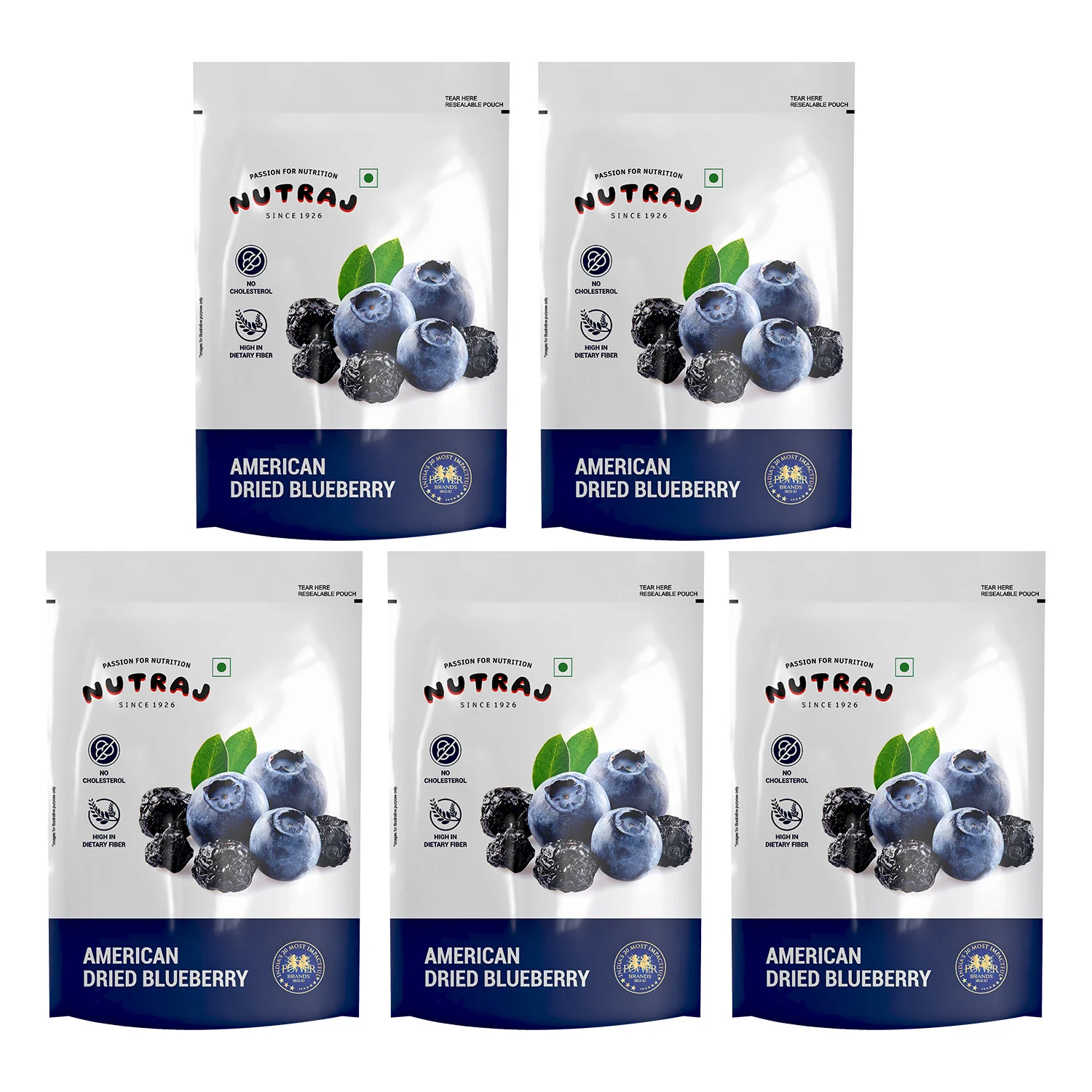Nutraj Dried Blueberries 150gm – Naturally Sweet & Delicious Snack - Image 10