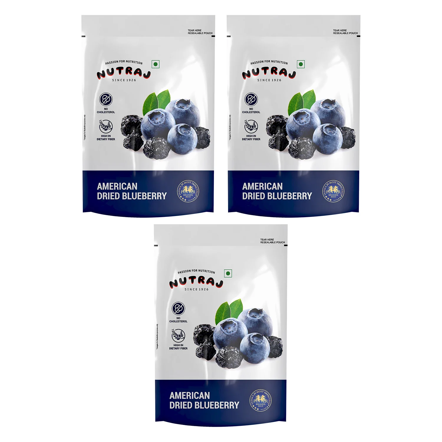 Nutraj Dried Blueberries 150gm – Naturally Sweet & Delicious Snack - Image 9
