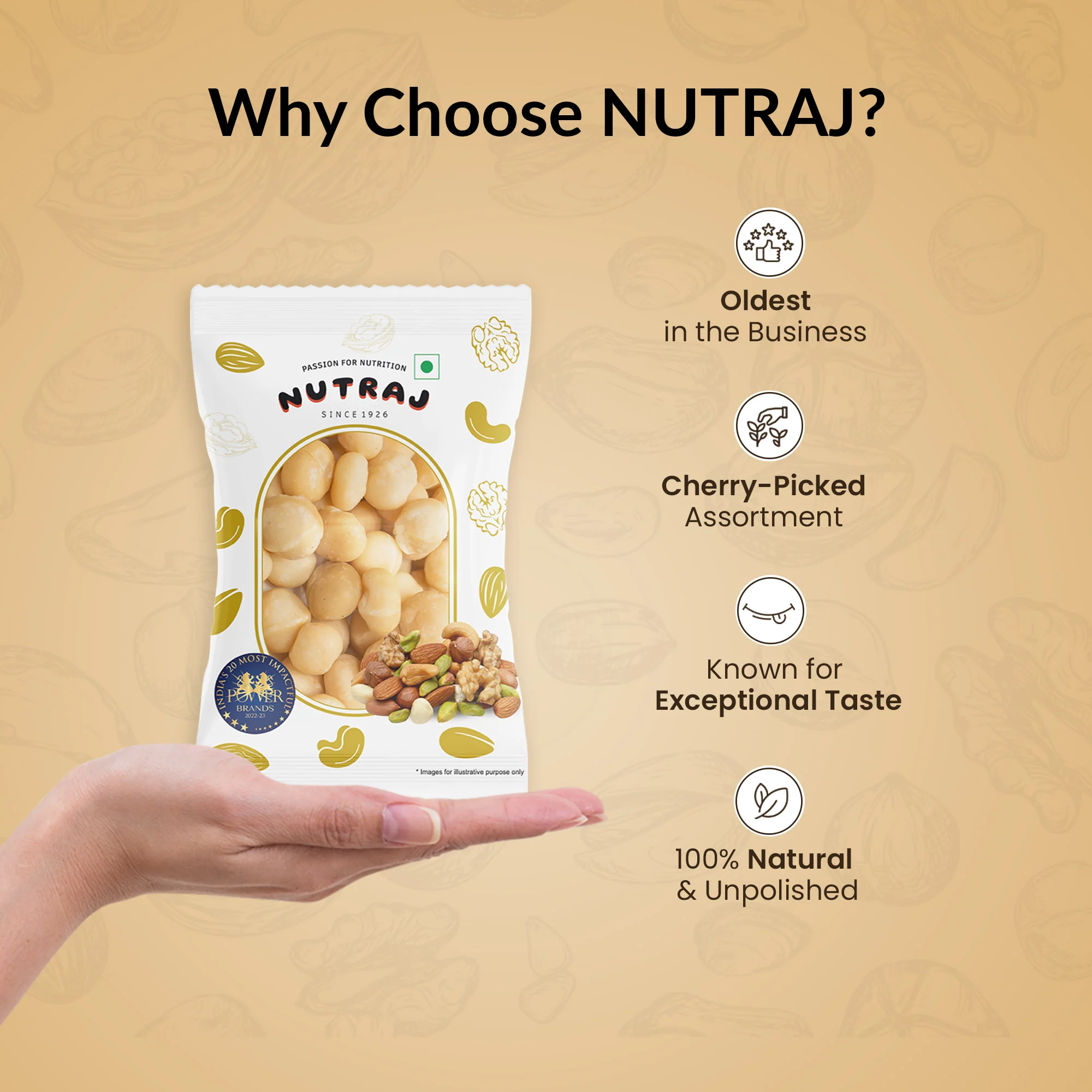 Nutraj Macadamia Nuts 100gm - Image 3