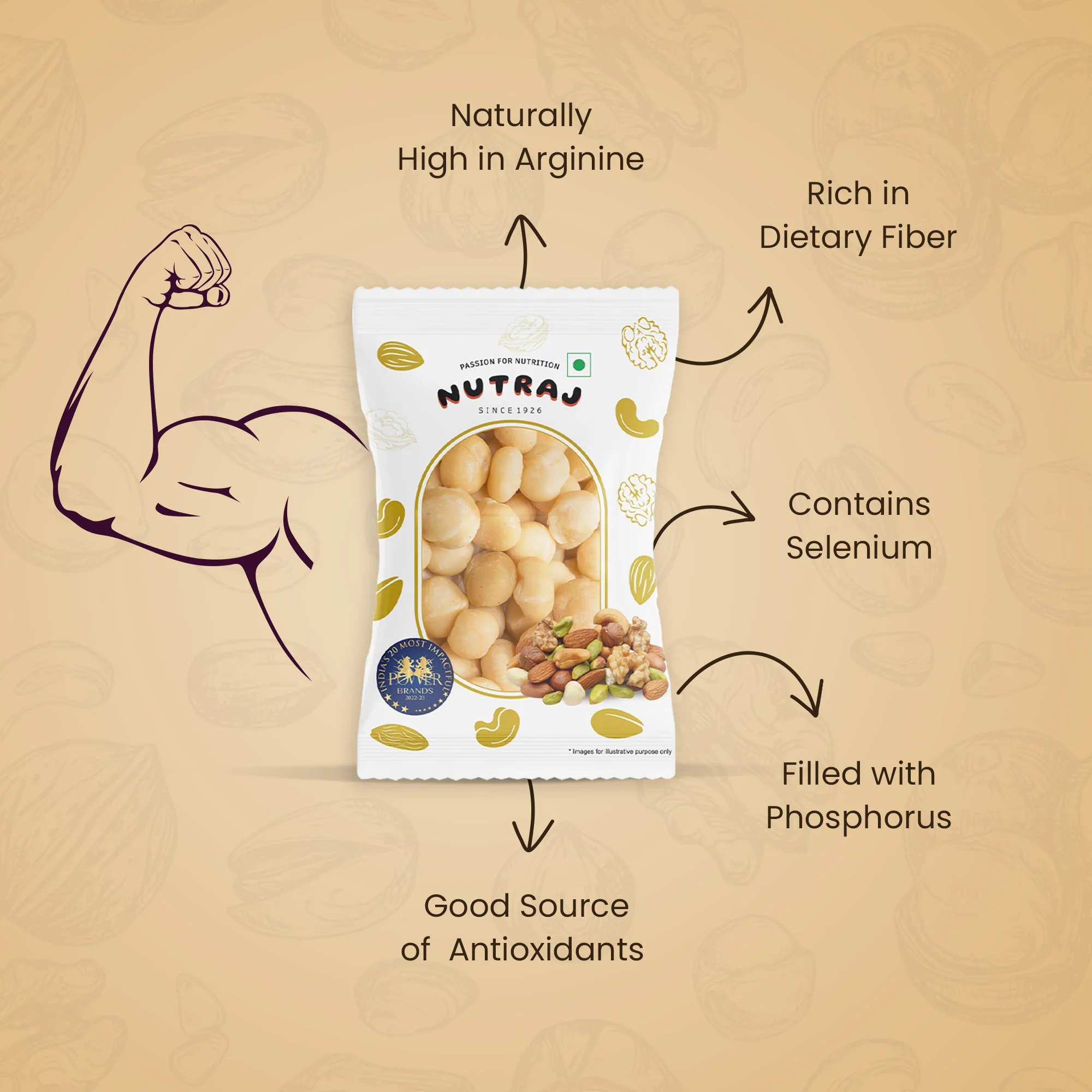 Nutraj Macadamia Nuts 100gm - Image 4