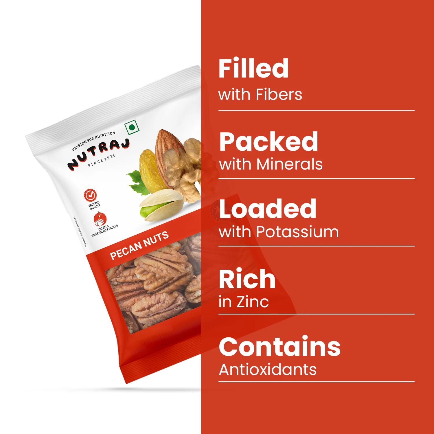 Nutraj Pecan Nuts 100gm - Image 5